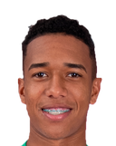 Brahian Palacios Alzate