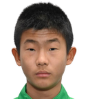Lin Hanqi