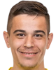 dragomir petkov
