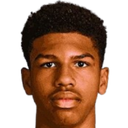 Andre Harriman-Annous