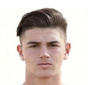 Nikolaos Gkotzamanidis
