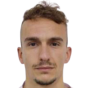 Arbi Vosha