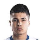 Ricardo Cesar Lagos Puyen