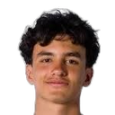 Emiliano Villaseñor