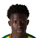 Vladimir Henrique Silva