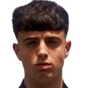 Miguel Ferrer Alarte