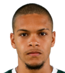 Miguel Dos Santos Silva