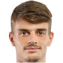Luka Skaricic