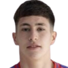 Joaquin Meneses