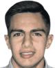 Razvan vulpe