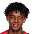 Bruno Braga Ramos