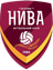 FK Nyva Buzova
