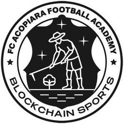 Blockchain Sports Academy