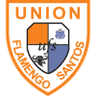 Flamingo Santos
