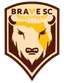 Brave SC