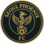 Seoul Phoenix