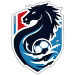 হুয়াইয়ান টিম