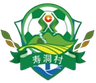 শোদন এফসি