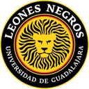 Leones Negros 2