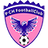 Shenzhen Pengcheng(2016-2020)