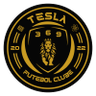 Tesla PA U20