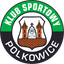 Gornik Polkowice
