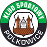 Gornik Polkowice