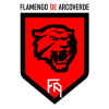 flamengo arcoverde
