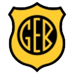 GE Bage U20