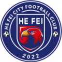 হেফেই সিটি ফুটবল ক্লাব