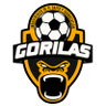 Gorilas de Juanacatlan II