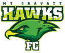 মাউন্ট গ্রাভাট হকস