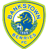 Canterbury Bankstown FC