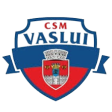 CSM Vaslui