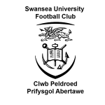 Universitas Swansea