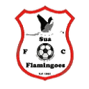 Sua Flamingoes