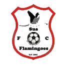 सुआ फ्लेमिंगोज़