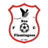 सुआ फ्लेमिंगोज़