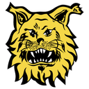 Ilves Tampere II