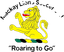 ম্যাককে লায়নস