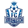 इलेक्ट्रिक वेन्ग एफसी