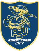 Wiang Sa Surat Thani City