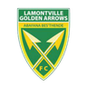 লামন্টভিল গোল্ডেন অ্যারোজ