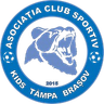 ACS Kids Tampa Brasov (W)