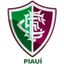 Fluminense PI (Pemuda)