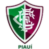 Fluminense PI (Pemuda)