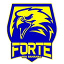Forte FC