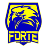 Forte FC