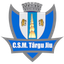 CSM Targu Jiu