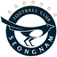 Seongnam FC